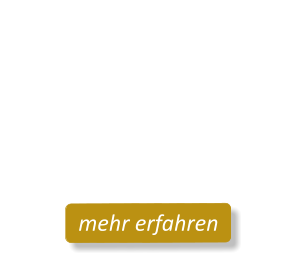 Meta-Transform©Energetic-Healings 6 Wochen Kompakt-Ausbildungmehr erfahren