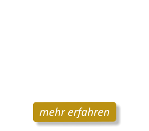 Meta-Transform©Life-Coach 12 Wochen Kompakt-Ausbildungmehr erfahren